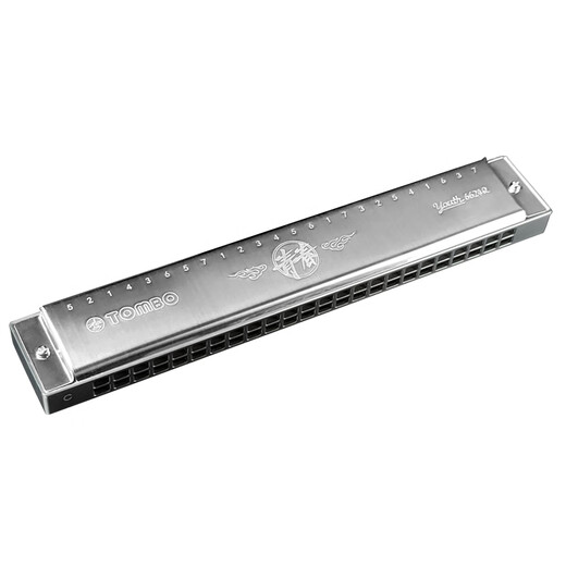 Tongbao Japan Tongbao Neue polyphonische Harmonika 6624q Jugend 24 Anfänger an Anfänger, um Metall Zither C -Melodie - Black Metal Zher zu ändern