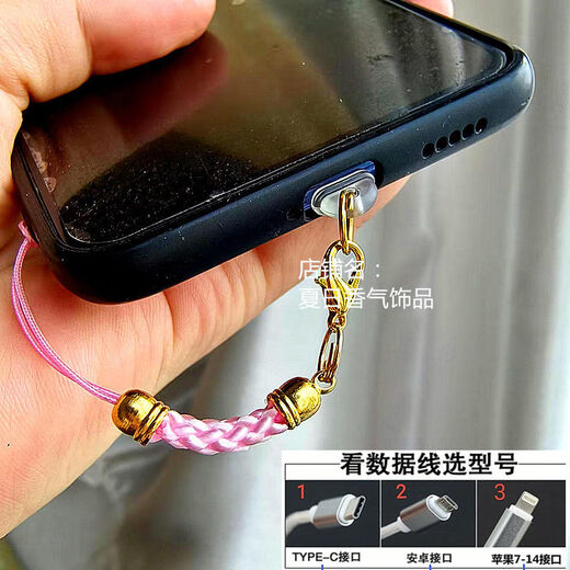 Mobile phone charging port dust-proof plug simple color lanyard hole jewelry pendant rope chain couple male and female student gift golden big red rope Apple 15 interface oval plug single plug