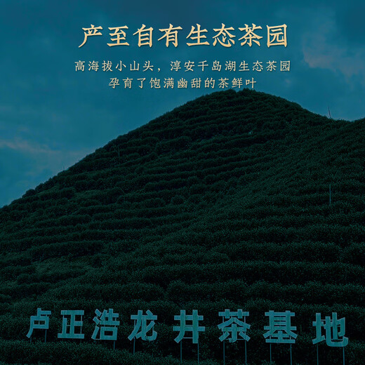 Лу Чженгао зеленый чай Qiantang Longjing Tea Gift Box Специальный уровень 200G Новый чай династия Ming Пожилой весенний чай в середине осени Фестиваль Вест-Лейк подарок