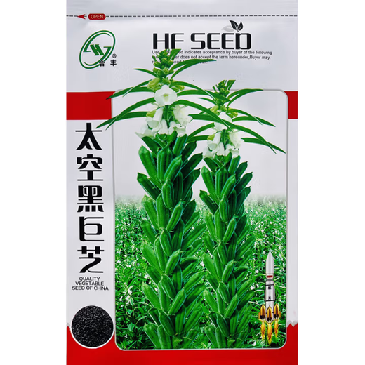 Black sesame seed oil extraction Academy of Agricultural Sciences hybrid high oil stable yield short stem eight-edged white sesame seed base special seed super high sesame seed king original 100g bag