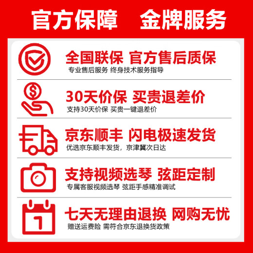 泰玛吉他TD10/TD12/TG10面单板民谣吉他新手入门弹唱指弹电箱 TG-12 原木亮光-40英寸面单