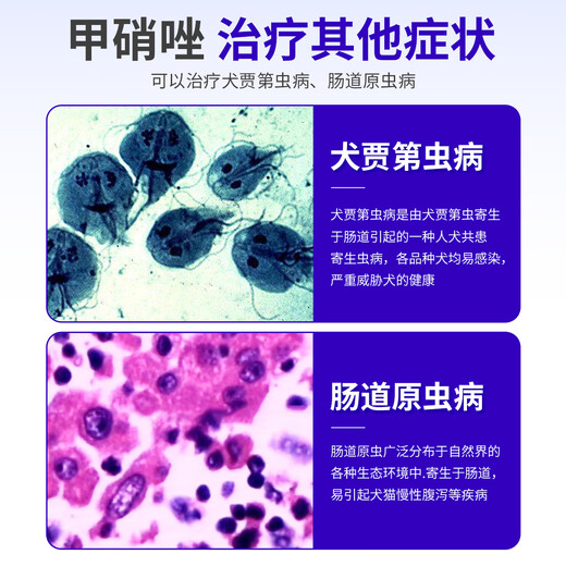 Doctor Mi'ao Metronidazole Tablets 12 tablets/box for dogs and cats with bad breath and stomatitis medicine for red, swollen and ulcerated gums and toothache