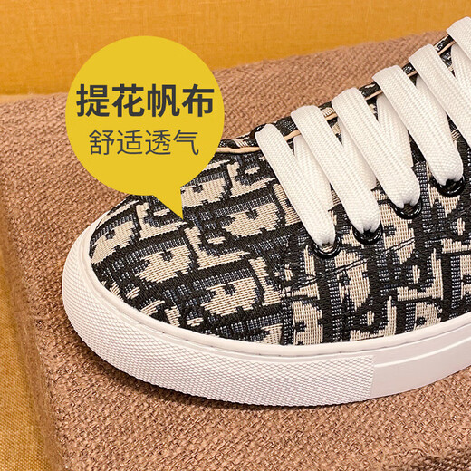 OLJ men's shoes 2025 summer new trendy brand canvas shoes lightweight soft-soled printed men's shoes breathable and versatile casual shoes men's gray (leather shoes size is one size larger) 38