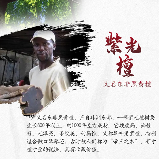 国光24孔引领者紫光檀红木复音C调口琴专业演奏进口音簧收藏佳品