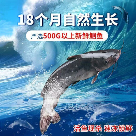 筷手小厨海底捞 方便预制菜半成品加热即食夜宵麻辣青花椒蒜香烤鱼 2-3人 麻辣烤鱼 1396g