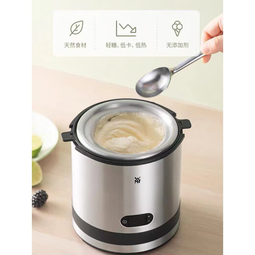 Pang Donglai Quality Ice Cream Machine Cone de ménage DIY Machine de crème glacée à fruits électriques allemands maison Machine à cône de yogourt entièrement automatique [110V PULLE RÉGULATION US] Silver Black 16cm * 17cm