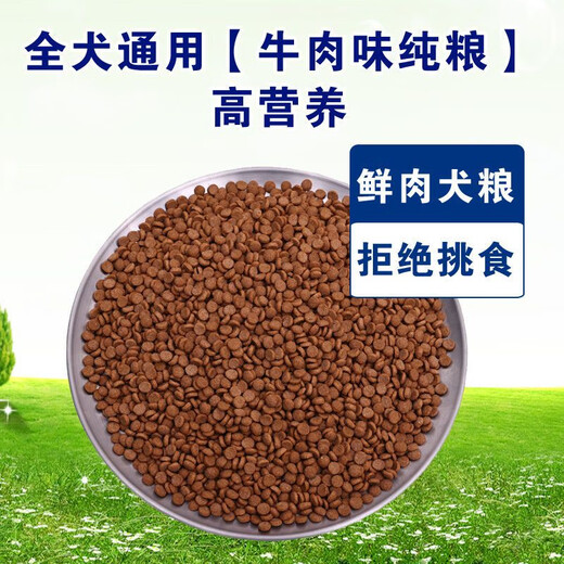 He Jiangong freeze-dried dog food universal type 10 Jin Jin is equal to 0.5 kg Golden Retriever Teddy Labrador adult puppy weight gain 5 Jin Jin is equal to 0.5 kg Small and large dogs 1 Jin Jin is equal to 0.5 kg Universal beef flavor pure food for all dogs High nutrition 10 Jin Jin is equal to 0.5 kg