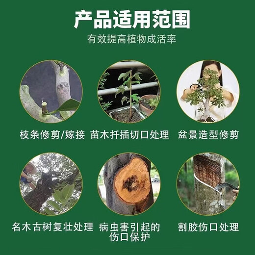 Guoguang confused wound healing applicator fruit tree rose plant flower pruning grafting applicator healing ointment applicator