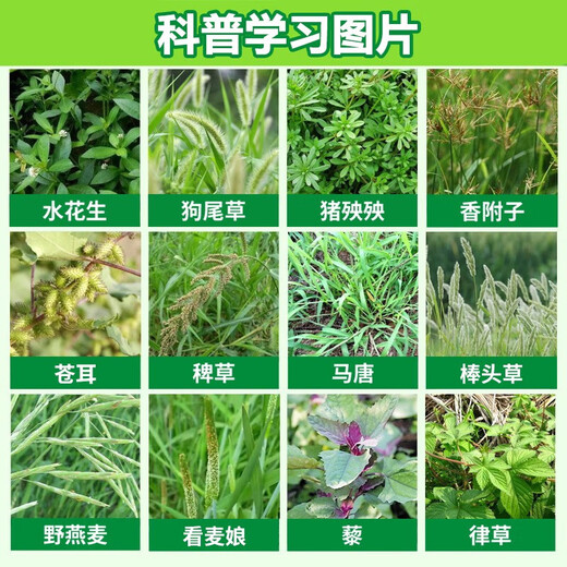 Eastern Sichuan pesticide cyclazinone weed killer, large trees, bamboos, miscellaneous shrubs, rotten roots and dead roots, special pesticide herbicide 500g