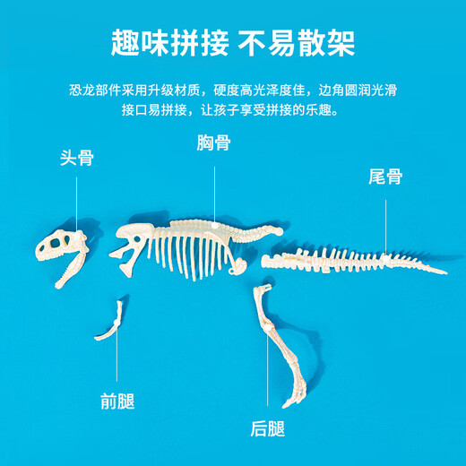 Archäologische Ausgrabung Dinosaurier Fossilienzeug Set für die Archäologische Stätte der Kinder-Version handgefertigtes Diy-Herstellung von Tyrannosaurus Rex Skelett Dinosaurier Ausgrabungsset Tyrannosaurus Rex 9-teiliges Set