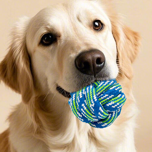 Zanpet Macaron, bite-resistant and molar-resistant rope ball 3-piece set, large size, pet big dog dog toy, self-entertainment and boredom relief, Bichon Frize