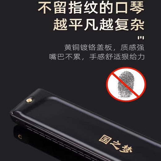 Guguang Old Domestic Armonica Professional Performance Nivel 28 Asejos Avanzados Adultos Principios 24 hoyos Polyphonic C-Tune Reportaje de regalo 24 hoyos Polyphonic [A#Tune]
