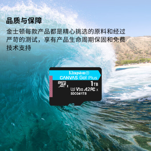 金士顿（Kingston）1TB TF（MicroSD）存储卡 无人机/运动相机 内存卡 U3 V30 A2 4K 读速200MB/s兼容手机/行车记录仪