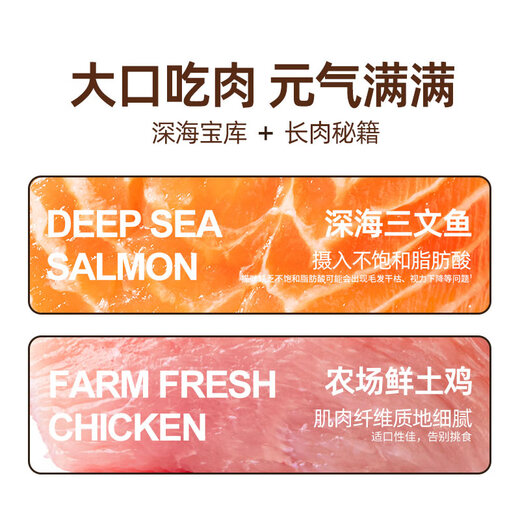 Meiziyuan Cat Food 2.5kg Delicious Salmon Flavor Full Price Adult Cat Food Adult and Young Cat Food 5Jin Jin is equal to 0.5kg Top Ten Brands 2 2.5kg Salmon Adult Cat Food 5Jin Jin is equal to 0.5kg