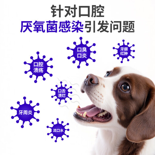 Doctor Mi'ao Metronidazole Tablets 12 tablets/box for dogs and cats with bad breath and stomatitis medicine for red, swollen and ulcerated gums and toothache