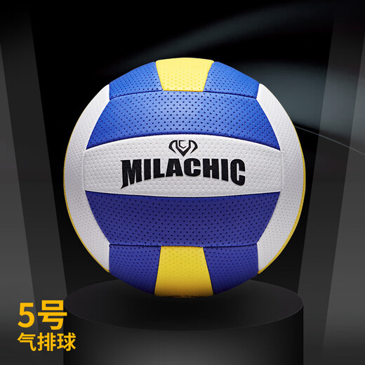 Er Jiagong Soft Gas Volleyball Wettbewerb Speziales Schüler leichte Softmitte mittleren Alters und ältere Mittelschule Aufnahmeprüfung Special Nr. 7 Soft Volleyball Sponge Ball Training Nr. 5 Gasvolleyball-Lml6913 [Einjähriger zerbrochener Bag
