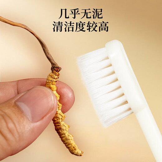 雷允上【官方】冬虫夏草 高档虫草礼盒 滋补品送长辈礼品送健康 20克（约3-4根/g 约64-66根）