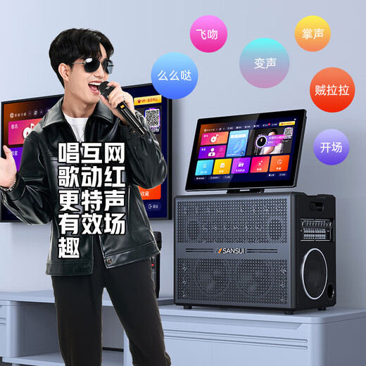 Shanshui Audio E86 flagship 25-year new karaoke audio amplifier all-in-one home ktv speaker set outdoor karaoke high-power square dance audio with display E86 Honor [send 3 years of song ordering member]