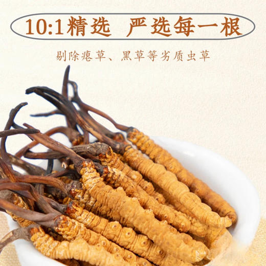 正宗虫草正品冬虫夏草3根/克50条礼盒虫草无断草高海拔送礼佳品 藏区3根/克（规格）60根礼盒装