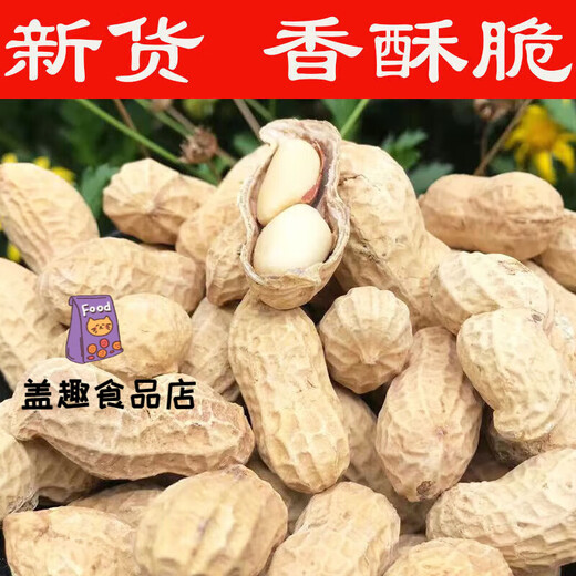 Peiyao Erdnuss-Bulk, Knoblauch, geschmorte Pekannüsse, Milchgeschmack, Salz, gebacken, Original-Nuss-Snacks, Originalgeschmack (große Partikel) 5Jin Jin entspricht 0,5 kg (voller Beutel)