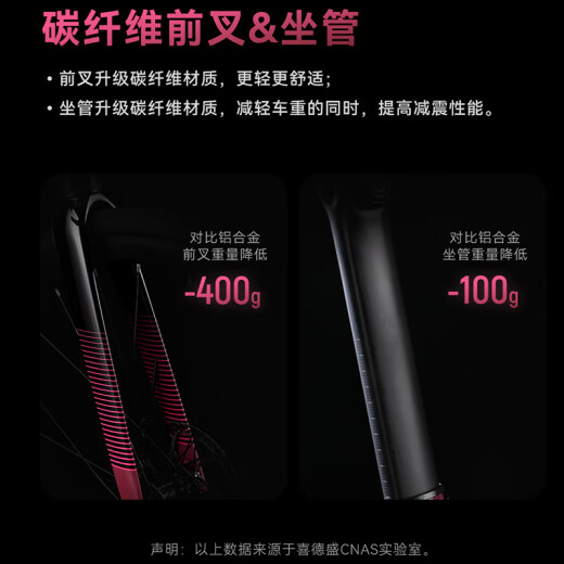 喜德盛（xds）AD350公路车自行车25款功率计骑行运动成人青少年学生变速单车 鸽子灰 12速 540mm（175-185cm身高）