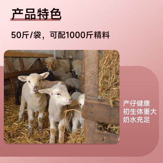 Jin Haoyuan Jin Haoyuan 5% ewe premix 50 Jin Jin is equal to 0.5 kg to improve postpartum recovery of breeding milk