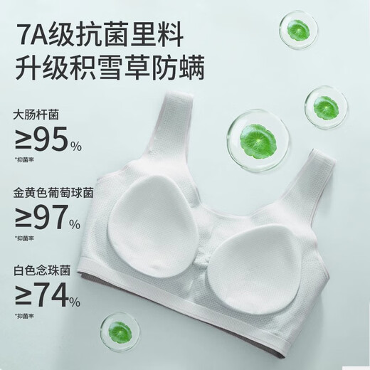 猫人少女内衣女童发育期文胸初高中学生女孩无痕小背心运动胸罩肤L