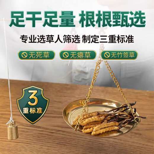 Sélectionnée Cordyceps de haut niveau Sinensis à haute altitude Cordyceps Sinensis Boîte-cadeau nourrissante haut de gamme pour les anciens et les dirigeants aux clients 3 pièces / gramme au total [Excellent valeur pour un nouveau essai]