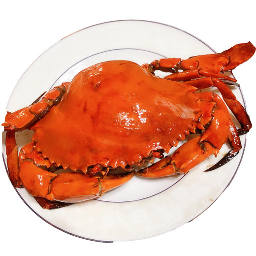 Dongshan Island fresh red mud crab, Fujian wild special red sturgeon, whole female, large oyster midge, butter crab, seafood gift box, male and female, 3-5 pieces, 2Jin Jin equals 0.5kg, net weight