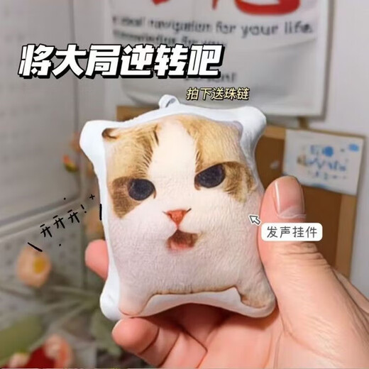 Internet Celebrity Crazy rotierende Katzenkollektion Knoblauchvogel Schlüsselbund Oi rotierender Katzenanhänger Sound-Schlüsselbund Lustige Katzenkätzchen Schlüsselbund Anhänger-rotierende Katzenkopf