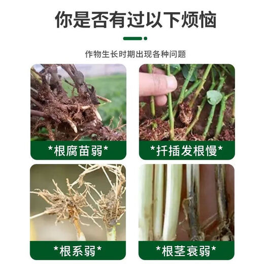 Powerful Rooting Powder Rapid Rooting and Seedling Strengthening Agent Rooting Powder Rapid Rooting Powerful Rooting Liquid Rooting Powder for Transplanting Rooting Powder 1Jin Jin is equal to 0.5kg, packed in 2 packs
