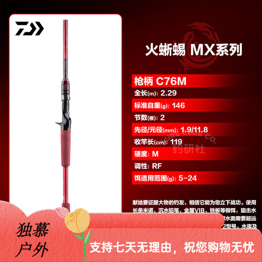 达亿瓦（DAIWA）路亚竿火蜥蜴21/22款钓鱼竿远投直柄枪柄溪流轻量泛用黑 /21款/682mlxb枪柄2节 2.03m