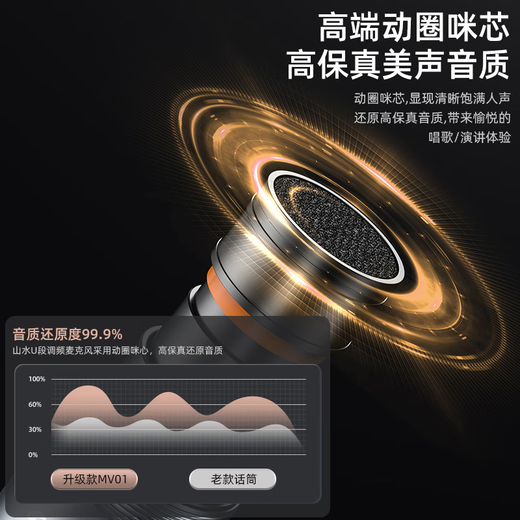 Projector TV karaoke wireless microphone home sound wall microphone with audio equipment set home KTV high-end version + 2 rechargeable microphones