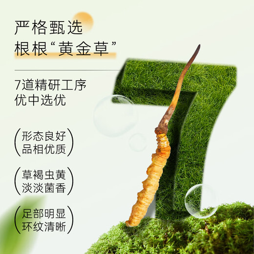Dongguangguang Cordyceps 3-4 roots/g60 roots approximately 19g Cordyceps high-end gift box nutritional supplements for elders and parents