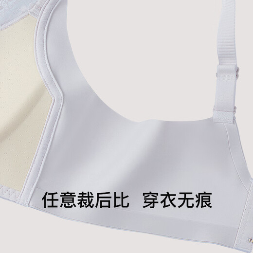 茜施尔（SHCER）夏季新品内衣女薄款小胸聚拢无钢圈胸罩收副乳防下垂文胸A3828W 神秘黑 70B
