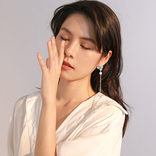 Qlady Ice Crystal Flower Earrings Beautiful Earrings Female Niche Unique Tassel Earrings 2025 New High-end Earrings Gift