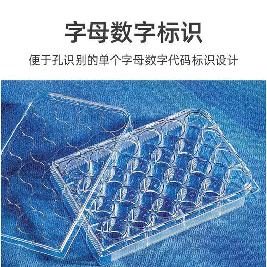 corning康宁 6 12 24 48 96孔 低吸附TC U底培养板 Costr 3513 35 3524(24孔)