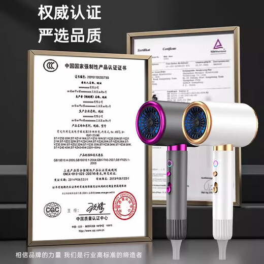 Sawang Germany Hair Dryer Household Silent Negative Ion Leafless High-speed Quick-drying Baby Barber Shop Constant Temperature Hair Dryer Hair Salon Hair Dryer Reifen High Power Does Not Damage Hair Silver 100% Authentic Warranty 2025 New Upgrade Silent Quick Drying 4.5 Billion Moisturizing Negative Ions