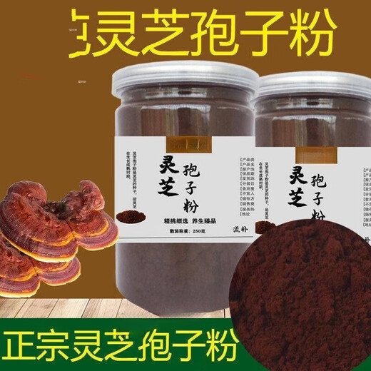 Fangshanguan Rohstoffpulver Kopfbrückungswand Ganoderma lucidum pulversporenpulver authentisch sporenpulver ganoderma lucidum spore powder