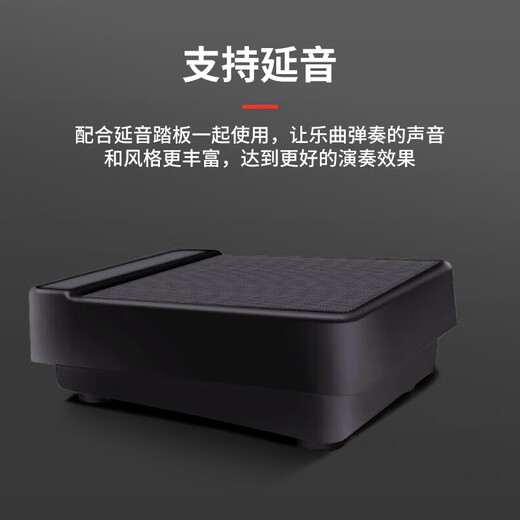 EVANLEY German hand-rolled piano portable 88-key Bluetooth professional version thickened arranger keyboard adult pocket electronic piano 88-key black standard version