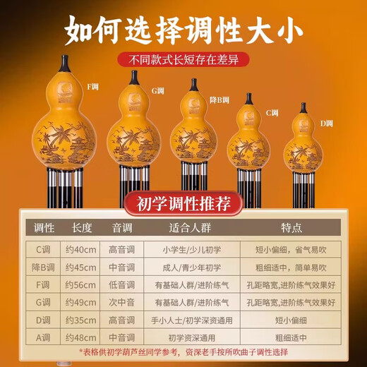 西马格葫芦丝c调三音降b调成年人初学者录音专业演奏级品牌旗舰店乐器 [黑檀木音管]G调+赠品