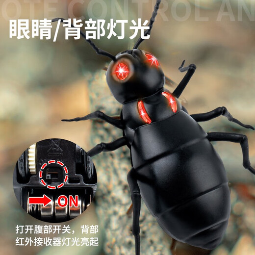 QISEN electric toy remote control ant simulation machine that can walk 2-4 year old boys, babies and girls can crawl children's gifts Classic version - remote control ladybug red model 9922+ snail upgraded version with another 24 electronics