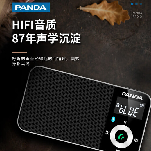 Panda (Panda) 6210 Bluetooth-Radio tragbare Multifunktions-Frequenzmodulation Small-Taschen-FM-Frequenzmodulation BEAMMER BEHALTE