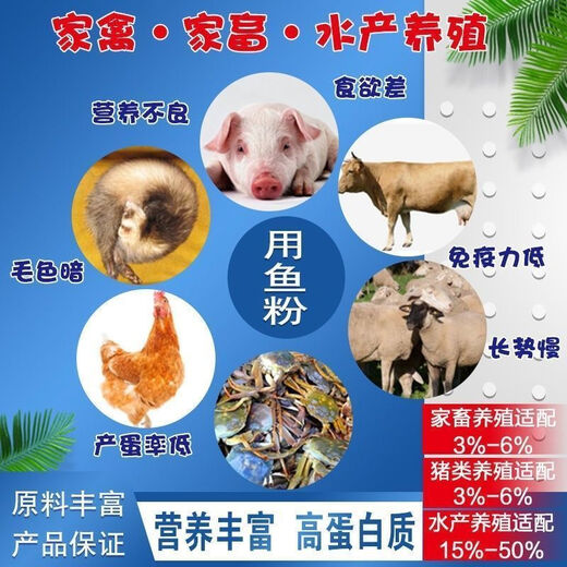 Imported steam fish meal from Peru to feed chickens, high protein feed, fish meal farming, feed chickens, ducks, geese, pigs and shrimps, fish bone meal 40Jin Jin is equal to 0.5kg fish bone meal