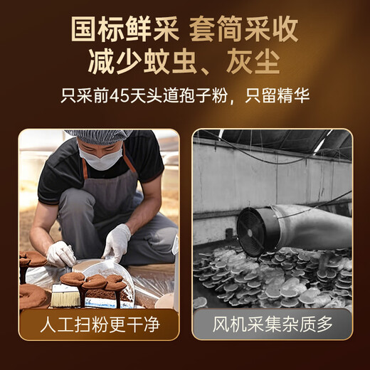 Beijing Tongrentang Bio-Ganoderma-Sporenpulver, gebrochenes Ganoderma-Sporenpulver, gebrochenes Ganoderma-Sporenpulver zur Stärkung der Immunität, ernährungsphysiologisches Tonikum, 1 Box, Probierpackung, Bio-Zertifizierung