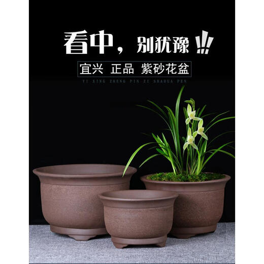 宜兴特大紫砂花盆绿萝盆景多肉种菜兰花盆圆口超大陶瓷盆 浅蓝色 695特大号