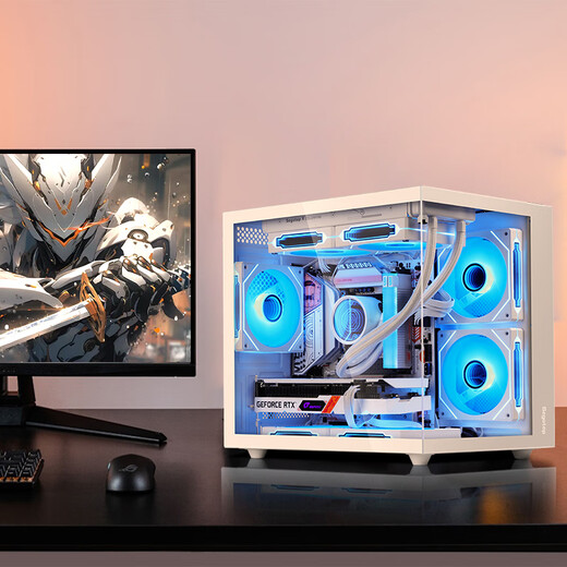 Xingu RTX5060TI/5060 host I5 14600KF/12600KF assembled computer host high-end e-sports game host desktop DIY complete machine white sea view room four 14600KF/5060/16G/1T white