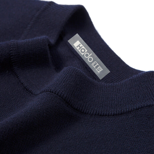 红豆（Hodo）【轻奢含山羊绒&软黄金】新年高档羊毛衫男保暖适针织衫亲肤毛衣