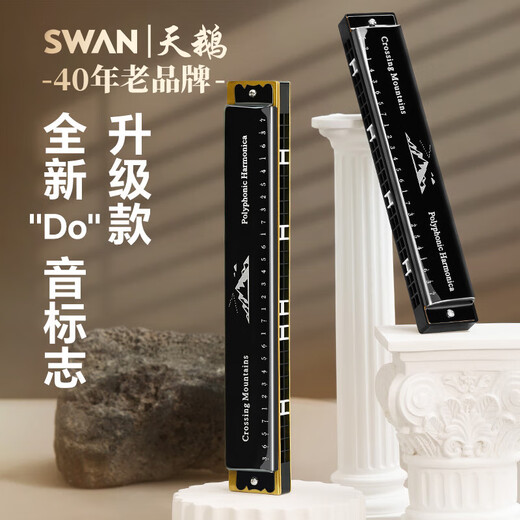 Swan (Swan) 24-Loch Polyphonic Mundhyalonica-Anfänger spielen professionell Mundharmonika C Key (schwarz)