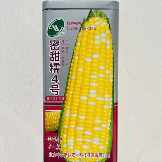 白甜糯玉米种子高产白糯玉米非转四季播国审农家超甜加糯玉米种子 昕糯628玉米种子【原装200克】1袋